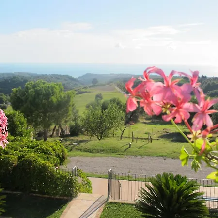 Chatoe * 리파트란소네